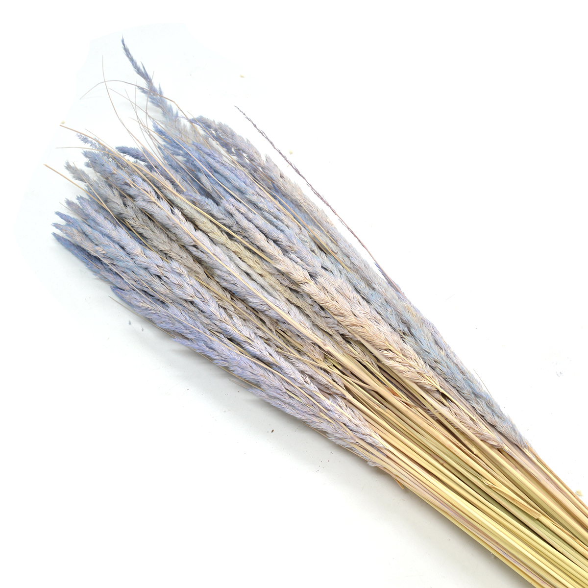 Buchet fire pampas lila