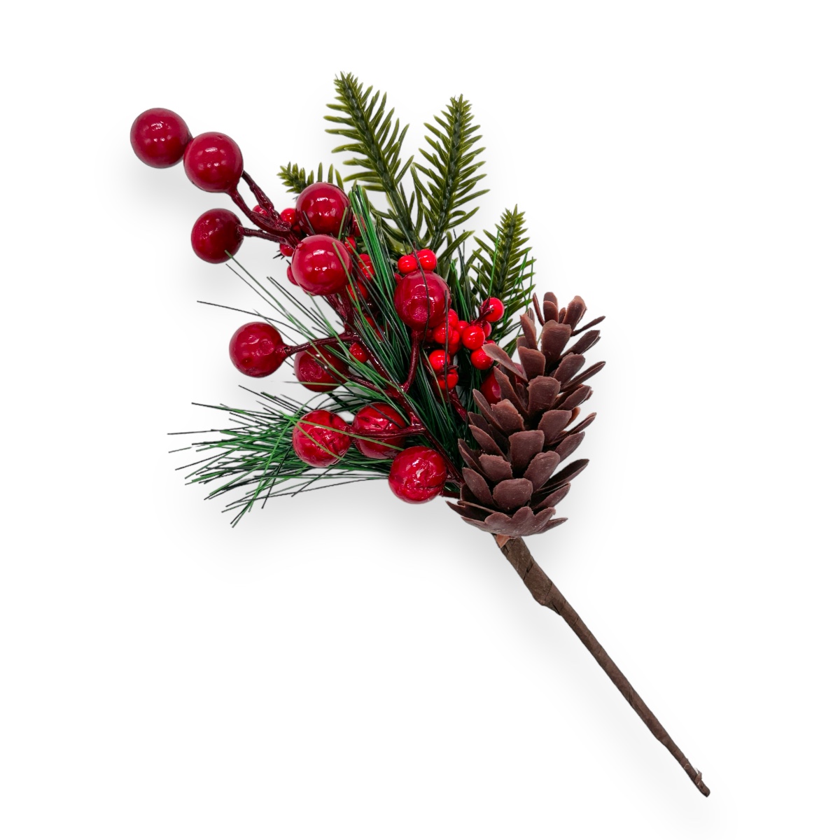 Creanga pin molid ilex ardisia si con