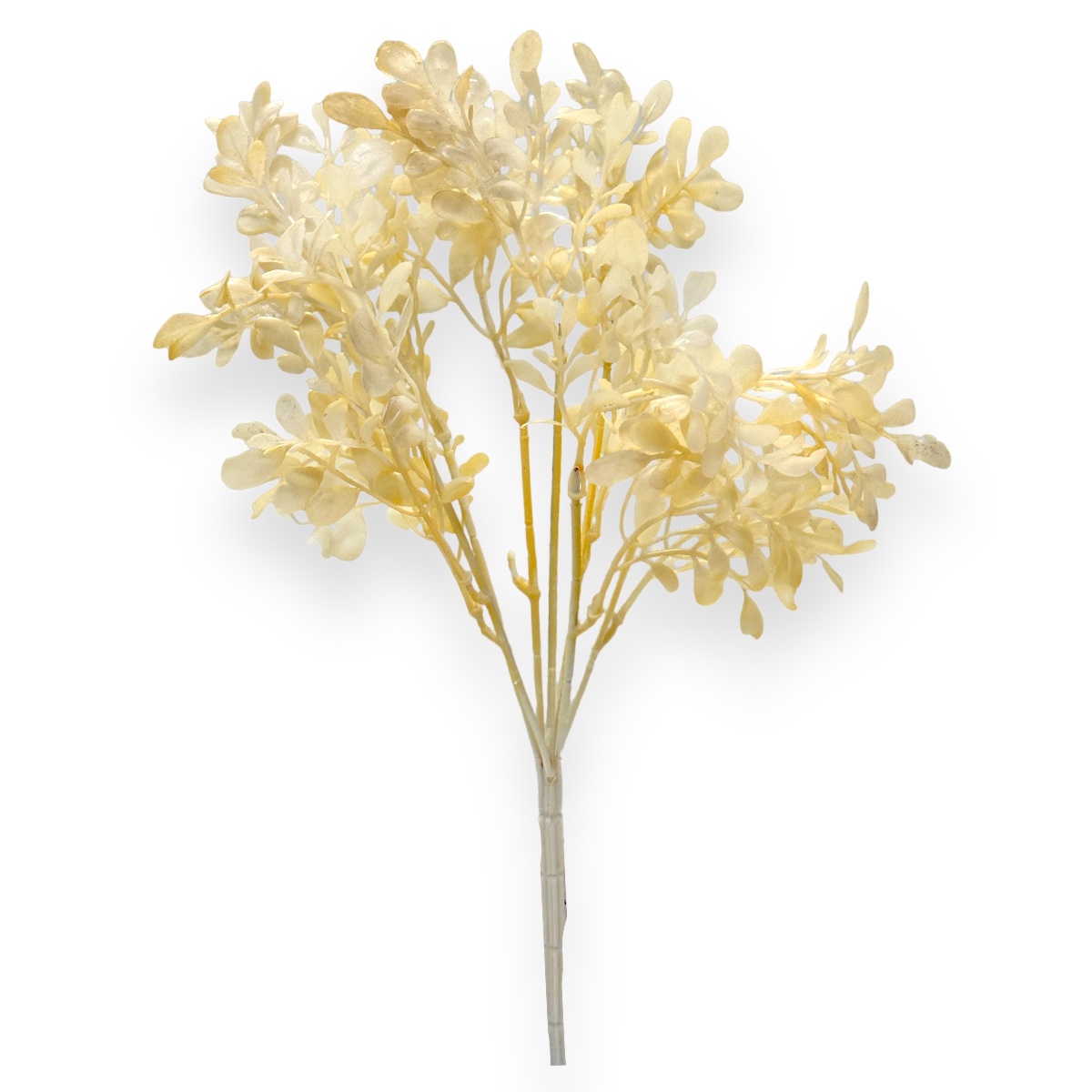 Buchet 7 fire buxifolium artificial crem