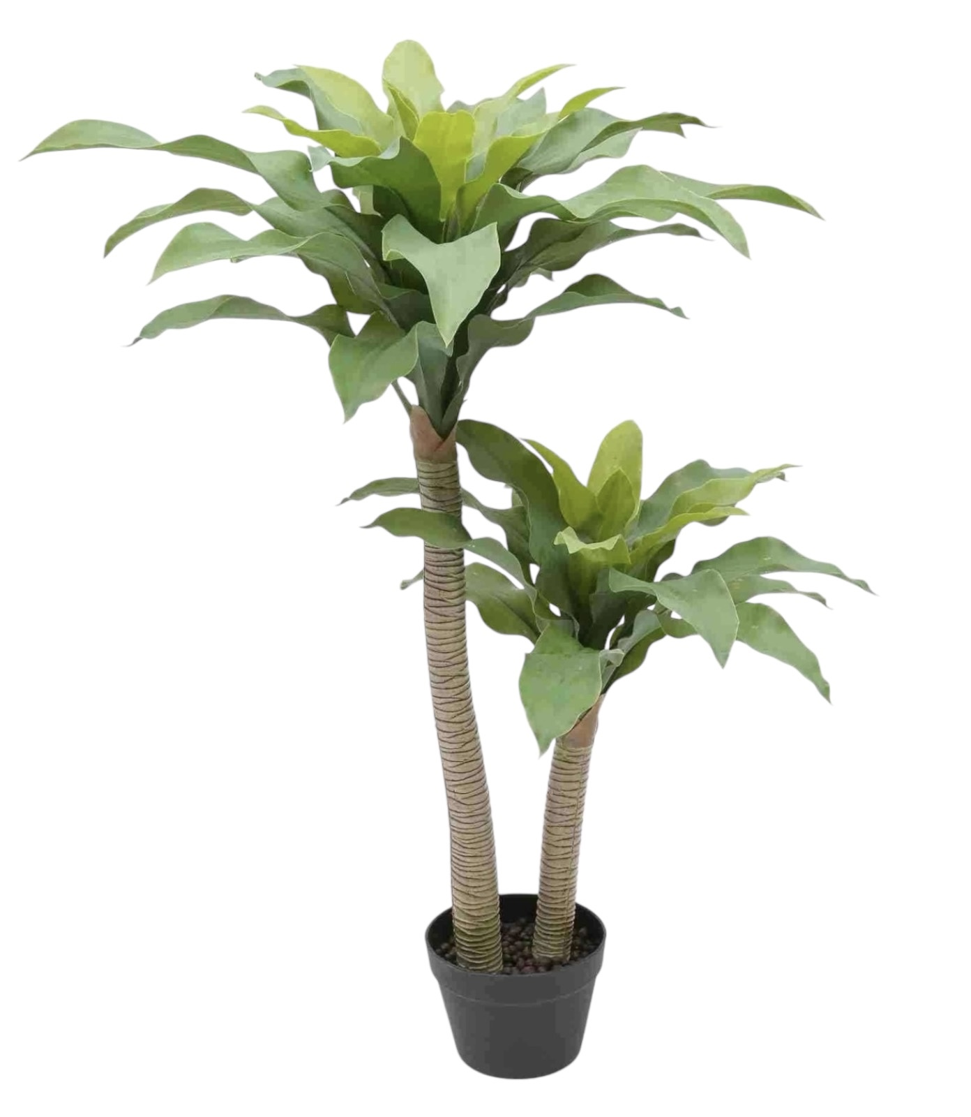 Planta Artificiala Premium Dracaena Steudneri cu 2 Tulpine 105cm