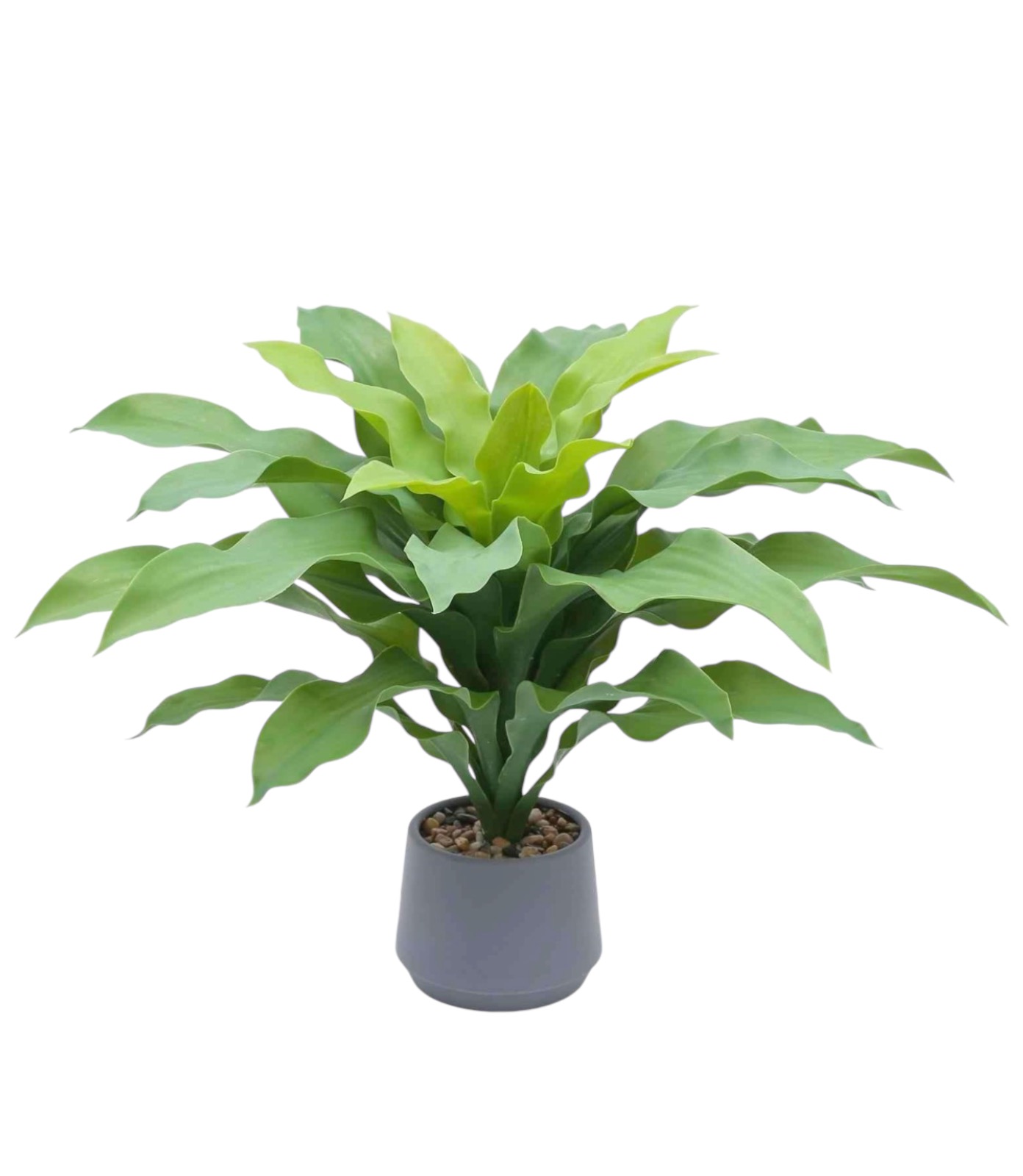 Planta Artificiala Premium Dracaena Braunii 50cm