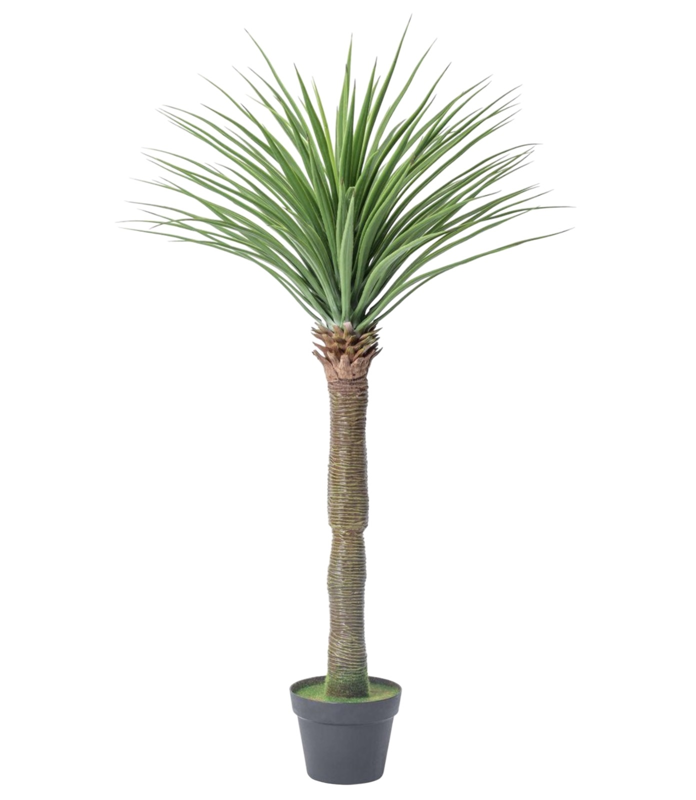 Planta Artificiala Premium Dracaena 118cm