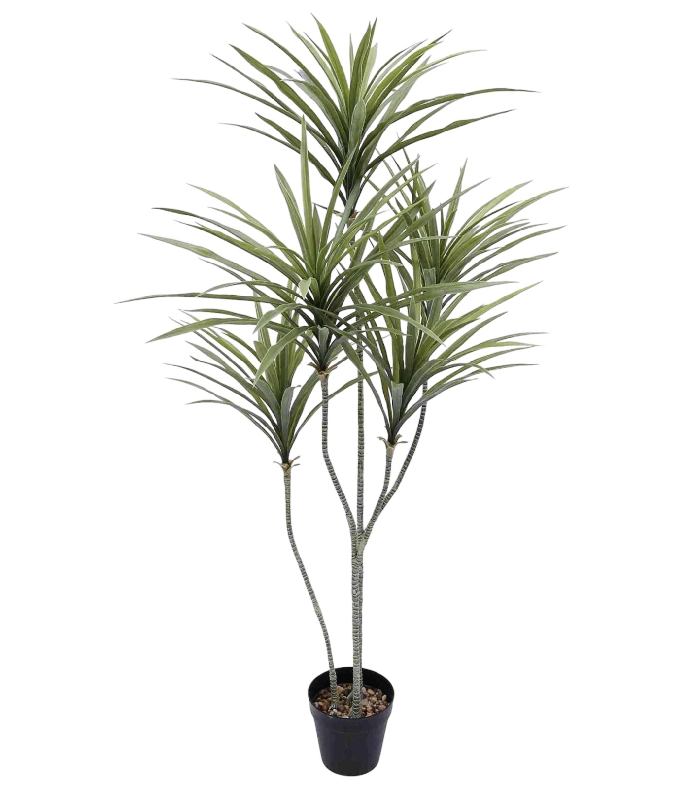 Planta Artificiala Premium Dracaena Marginata 140cm