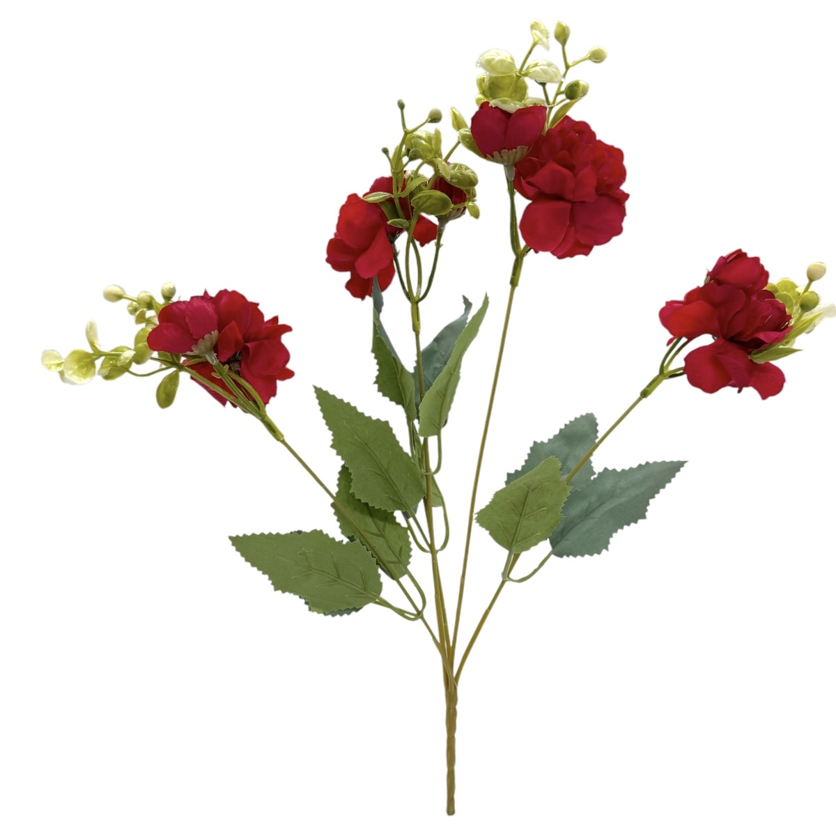 Buchet 5 Fire Camelie cu Ranuculus Rosu