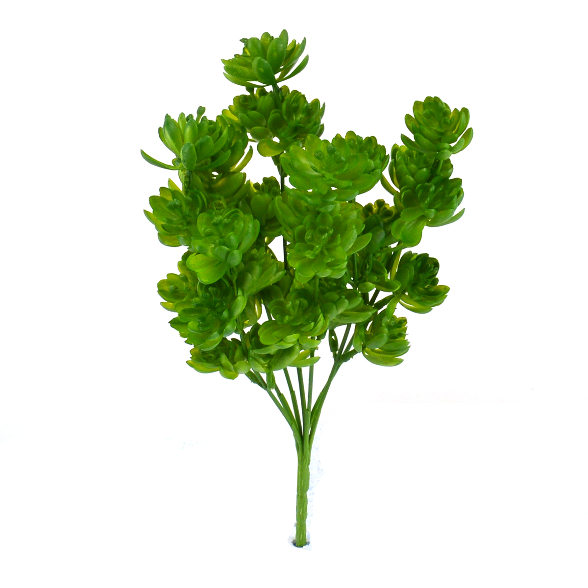 Buchet Plante Suculente Verde