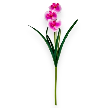 Buchet orhidee alb siclam