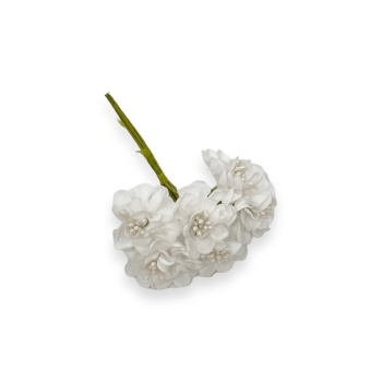 Set 72 buc  mini crizanteme cu pistil, alb