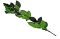Set 5 Tulpini pentru Trandafiri Criogenati 50cm AFO