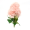 Buchet crizantema wild roze