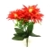 Buchet 5 fire gerbera wild rosu